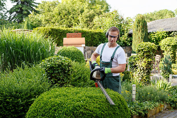 Best Lawn Irrigation Installation and Maintenance  in USA